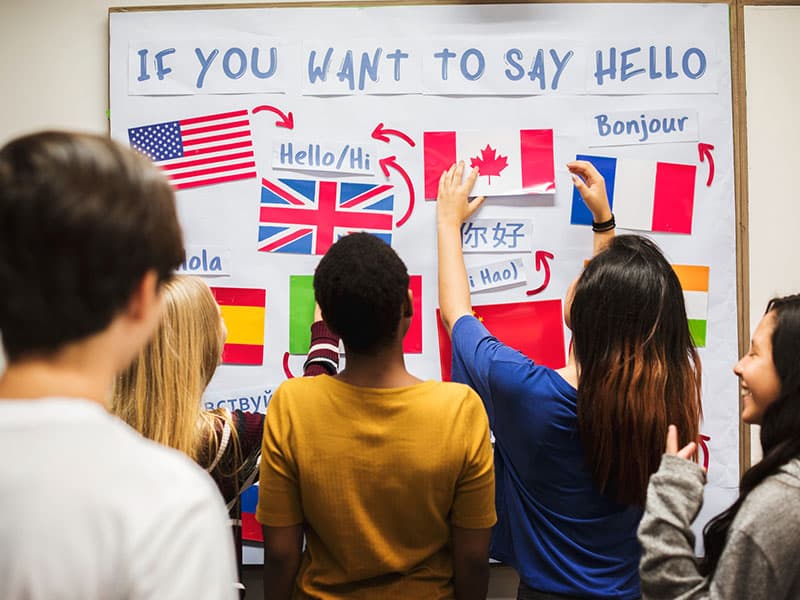 Hobbygilde-cat-talen